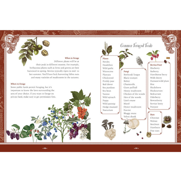 Forest, Fairies, Mushrooms & Goblins Sticker, Colour & Activity Book