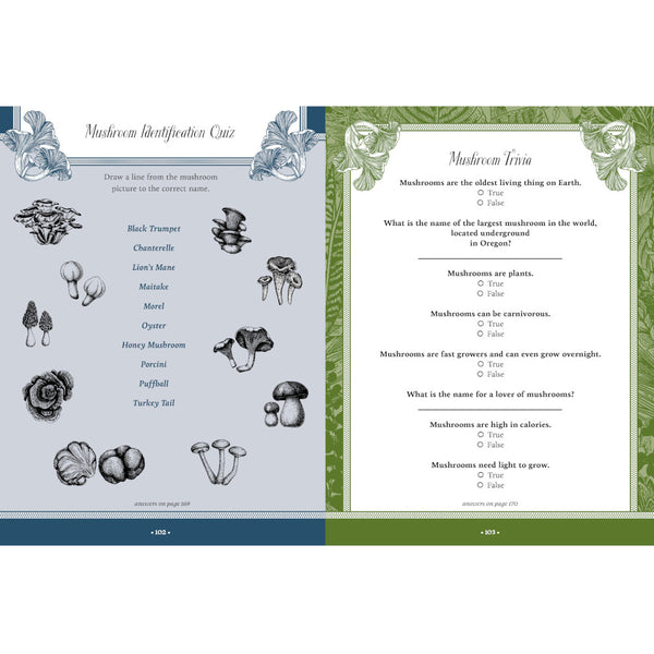 Forest, Fairies, Mushrooms & Goblins Sticker, Colour & Activity Book