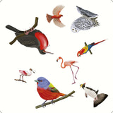 Kaddo Bird Spotter Matching Game