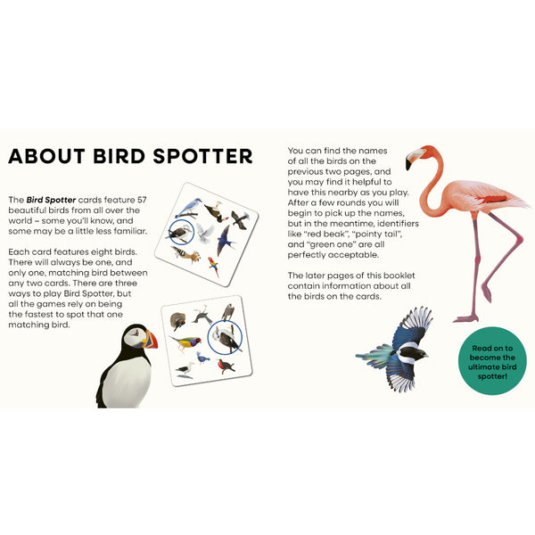 Kaddo Bird Spotter Matching Game