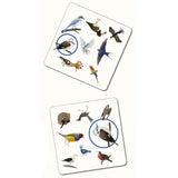Kaddo Bird Spotter Matching Game
