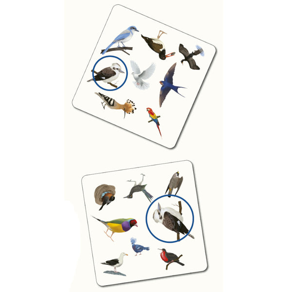 Kaddo Bird Spotter Matching Game