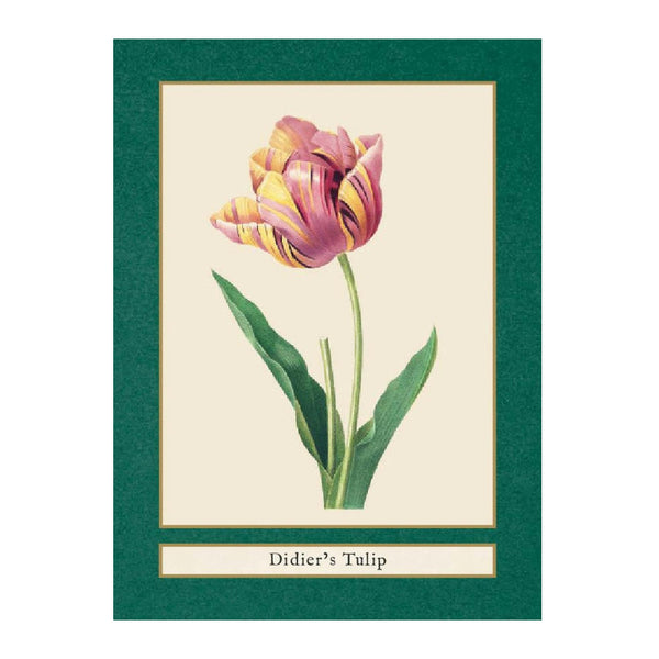 Flowers of the World: A Quiz & Matching Game for Plant Lovers