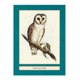Birds of the World: A Quiz & Matching Game for Bird Lovers