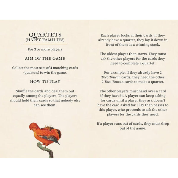 Birds of the World: A Quiz & Matching Game for Bird Lovers