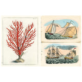 John Derian sticker book with floral design and nature-themed illustrations