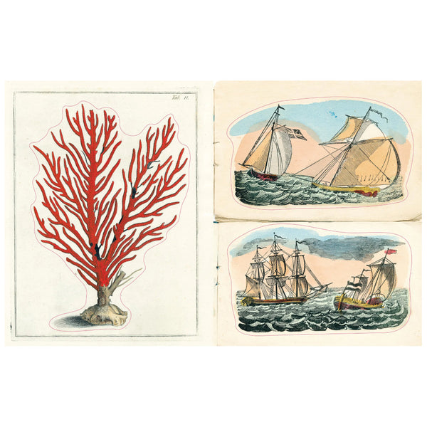 John Derian sticker book with floral design and nature-themed illustrations