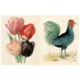 John Derian sticker book with floral design and nature-themed illustrations