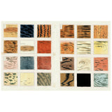 John Derian sticker book with floral design and nature-themed illustrations