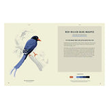 Coloready Birds: 20 Modern Paint-by-Number Prints
