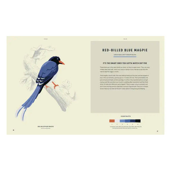 Coloready Birds: 20 Modern Paint-by-Number Prints