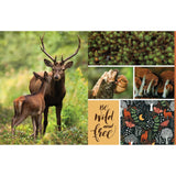 Insight Editions Cut & Collage Woodland Creatures