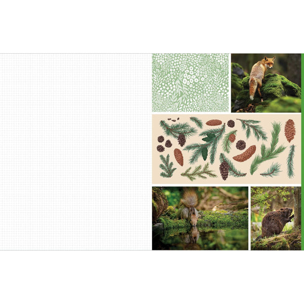 Insight Editions Cut & Collage Woodland Creatures