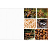 Insight Editions Cut & Collage Woodland Creatures