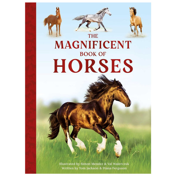 The Magnificent Book of Horses by Weldon Owen
