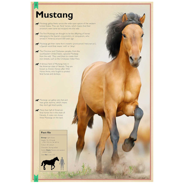 The Magnificent Book of Horses by Weldon Owen