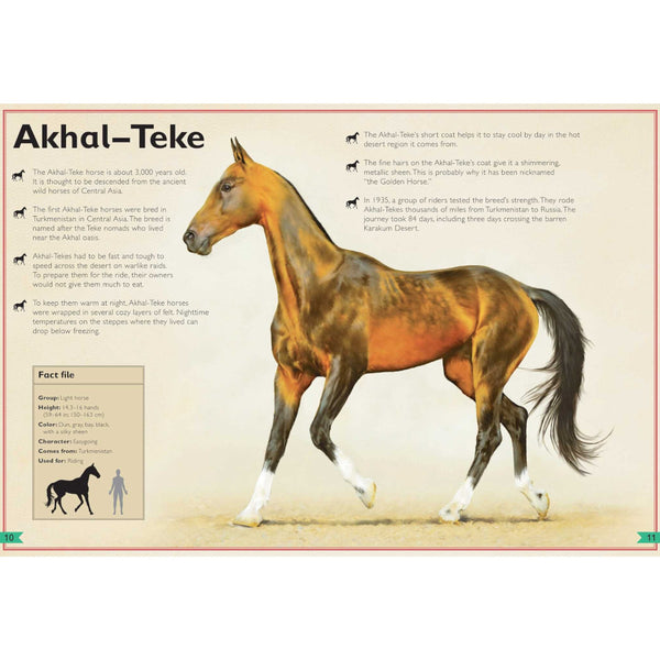 The Magnificent Book of Horses by Weldon Owen