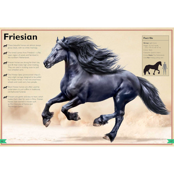 The Magnificent Book of Horses by Weldon Owen