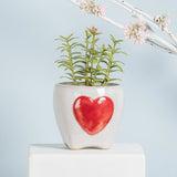 Abbott Stoneware Planter Small - Heart