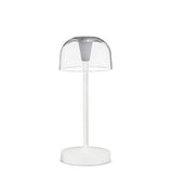 Abbott LED Cordless Desk Light - Bubble Shade, Clear