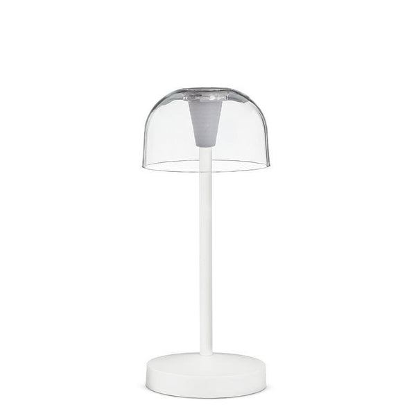 Abbott LED Cordless Desk Light - Bubble Shade, Clear