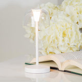 Abbott LED Cordless Desk Light - Bubble Shade, Clear