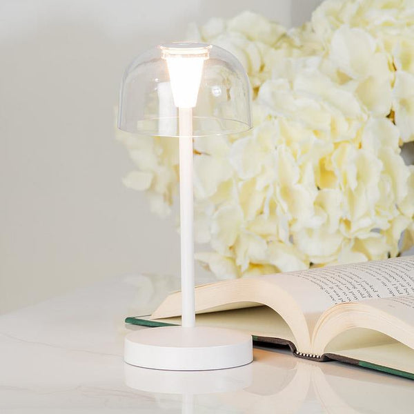 Abbott LED Cordless Desk Light - Bubble Shade, Clear