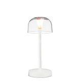 Abbott LED Cordless Desk Light - Bubble Shade, Clear