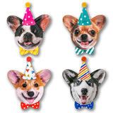 Rainbow Moments Shaped Paper Plates 8pk Party Dogs