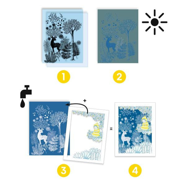 Djeco Cyanotype Sun Art Kit - Au Clair de la Lune