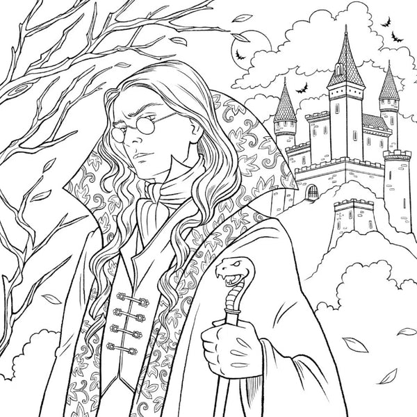 Dark Magic: A Gothic Fantasy Colouring Book