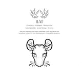Lunar: A Zodiac Art & Coloring Book by Lydia Fenwick