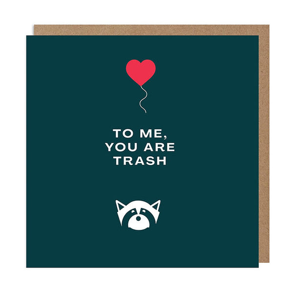 Betiobca Greeting Card - Raccoon Love
