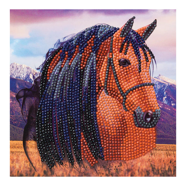 Craft Buddy DIY Crystal Art Card Kit - Horse