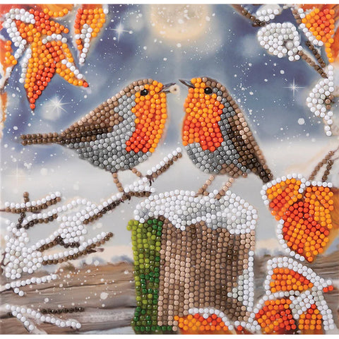 Craft Buddy DIY Crystal Art Card Kit - Kissing Robins