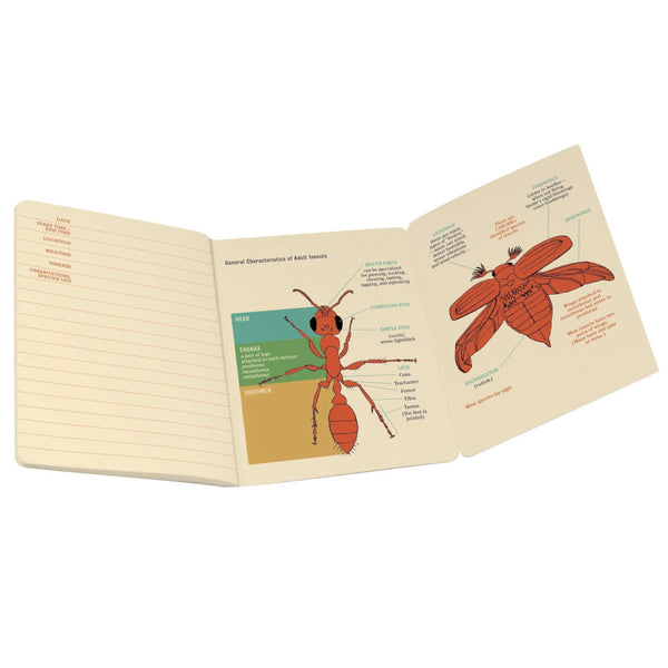 Unemployed Philosophers Guild Pocket Notebook - Insect Entomology