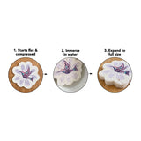 Native Northwest Eco Sponge - Turtle