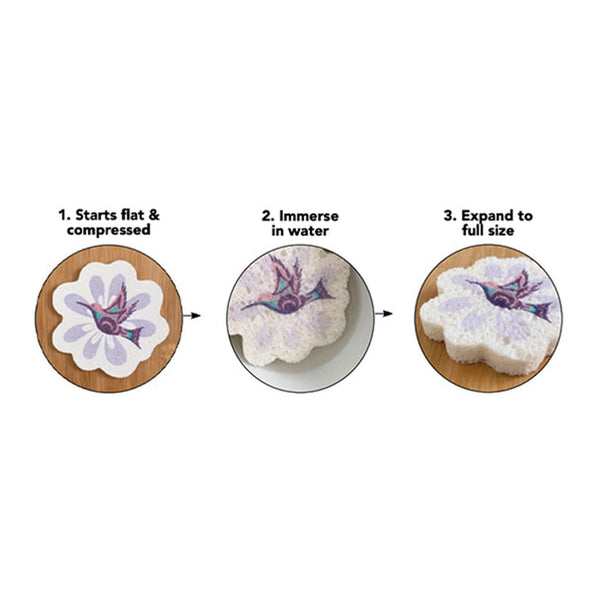 Native Northwest Eco Sponge - Turtle