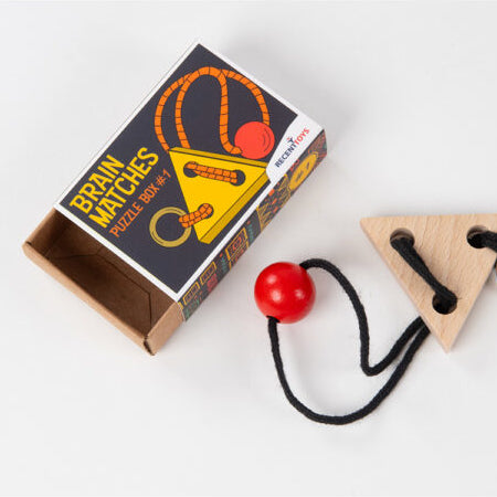 Recent Toys Brain Matches Puzzle, Assorted