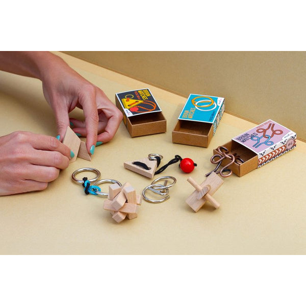 Recent Toys Brain Matches Puzzle, Assorted