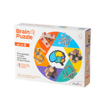 Recent Toys Brain Puzzle 6 Set