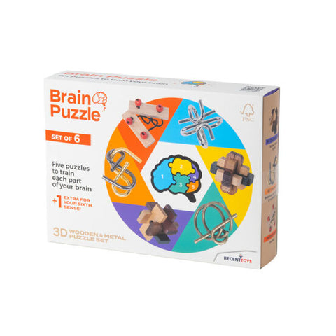 Recent Toys Brain Puzzle 6 Set