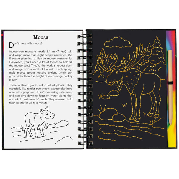Peter Pauper Press Art Activity Book: Scratch & Sketch Canada