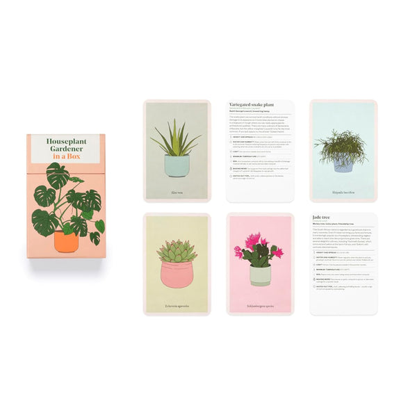 Houseplant Gardener in a Box by Jane Perrone