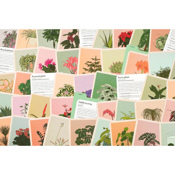 Houseplant Gardener in a Box by Jane Perrone