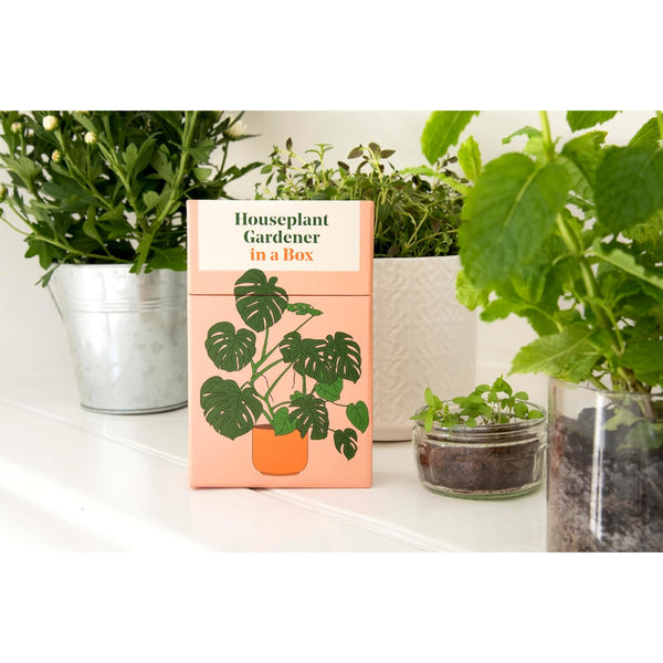 Houseplant Gardener in a Box by Jane Perrone