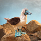 Folkmanis Hand Puppet - Blue-Footed Booby Bird