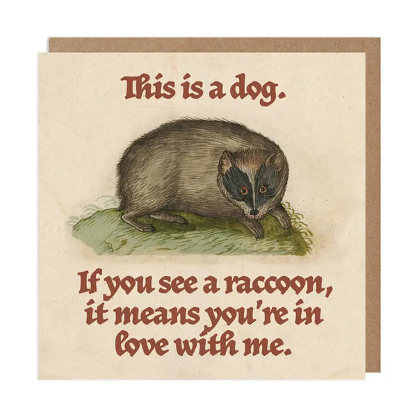 Betiobca Greeting Card, Not A Raccoon