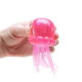 Schylling NeeDoh Jelly Squish, Assorted