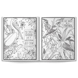 Brass Monkey Colouring Book - Salty Birds